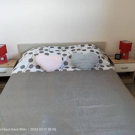 Apartment Einliegerwohnung Hagenthal-le-Haut Екстер'єр фото