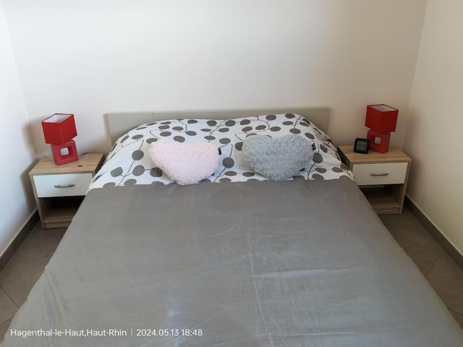 Apartment Einliegerwohnung Hagenthal-le-Haut Екстер'єр фото