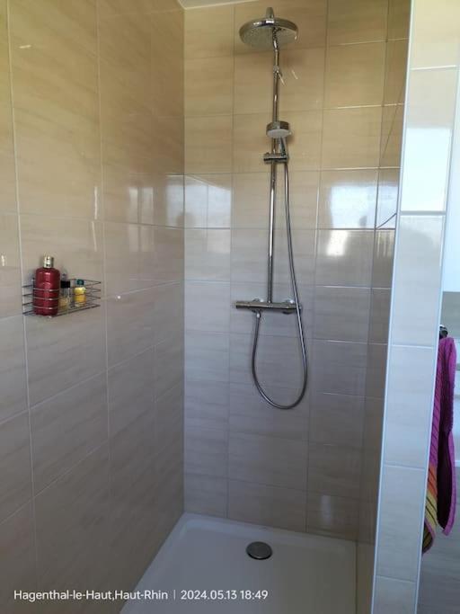 Apartment Einliegerwohnung Hagenthal-le-Haut Екстер'єр фото