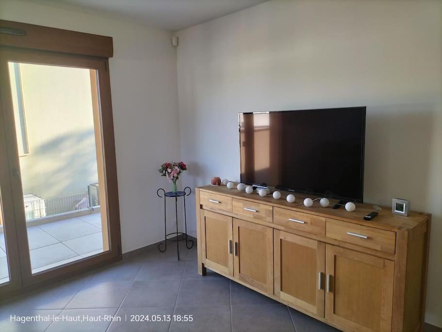 Apartment Einliegerwohnung Hagenthal-le-Haut Екстер'єр фото